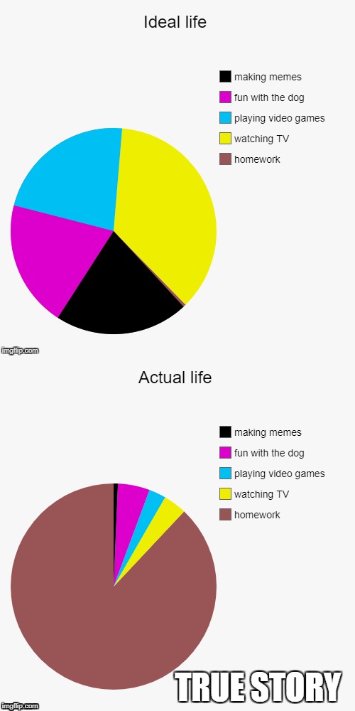 TRUE STORY | image tagged in pie charts,life,meme | made w/ Imgflip meme maker