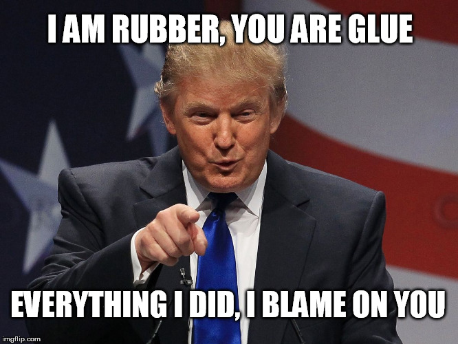 Donald trump | I AM RUBBER, YOU ARE GLUE; EVERYTHING I DID, I BLAME ON YOU | image tagged in donald trump,PoliticalHumor | made w/ Imgflip meme maker