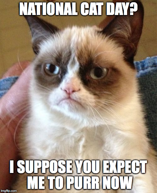 Grumpy Cat Meme | NATIONAL CAT DAY? I SUPPOSE YOU EXPECT ME TO PURR NOW | image tagged in memes,grumpy cat | made w/ Imgflip meme maker