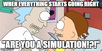 Life | WHEN EVERYTHING STARTS GOING RIGHT; "ARE YOU A SIMULATION!?!" | image tagged in rick and morty are you a simulation | made w/ Imgflip meme maker