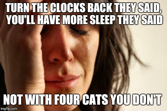 First World Problems Meme | TURN THE CLOCKS BACK THEY SAID, YOU'LL HAVE MORE SLEEP THEY SAID; NOT WITH FOUR CATS YOU DON'T | image tagged in memes,first world problems | made w/ Imgflip meme maker