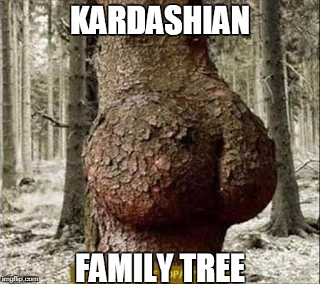 KARDASHIAN; FAMILY TREE | image tagged in kardashians | made w/ Imgflip meme maker