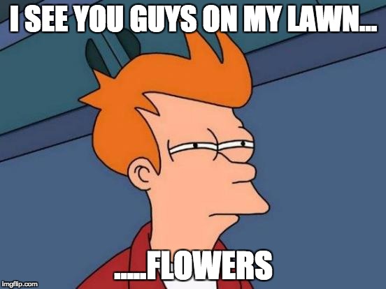 Futurama Fry | I SEE YOU GUYS ON MY LAWN... .....FLOWERS | image tagged in memes,futurama fry | made w/ Imgflip meme maker