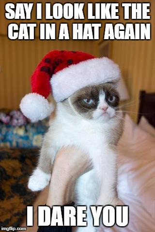 Grumpy Cat Christmas Meme | SAY I LOOK LIKE THE CAT IN A HAT AGAIN; I DARE YOU | image tagged in memes,grumpy cat christmas,grumpy cat | made w/ Imgflip meme maker