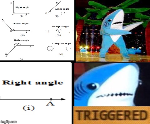 TRigGErEd | image tagged in triggered template,left shark,triggered,math,90,why are still reading this | made w/ Imgflip meme maker