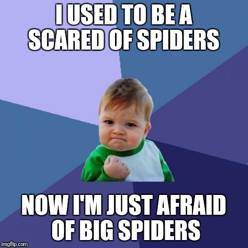 Success Kid Meme | I USED TO BE A SCARED OF SPIDERS; NOW I'M JUST AFRAID OF BIG SPIDERS | image tagged in memes,success kid | made w/ Imgflip meme maker