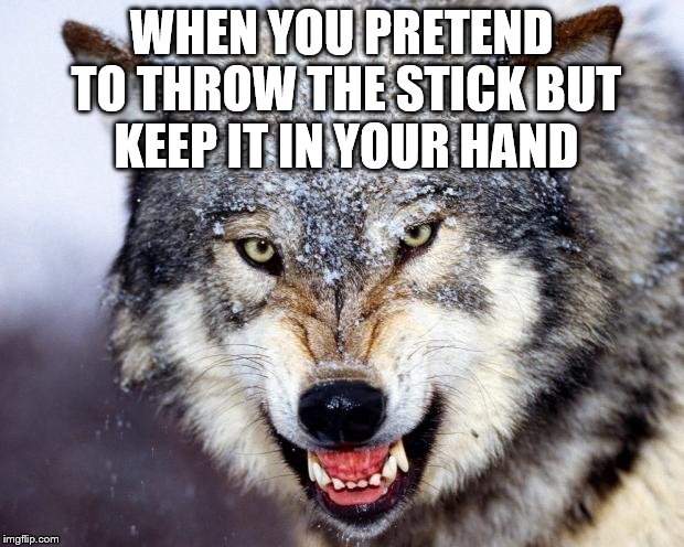 Growlingwolf | WHEN YOU PRETEND TO THROW THE STICK BUT KEEP IT IN YOUR HAND | image tagged in growlingwolf | made w/ Imgflip meme maker