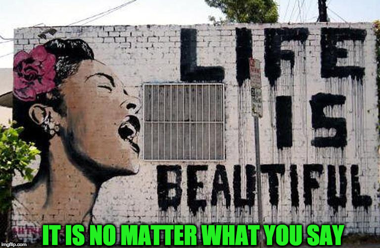 Life is truly beautiful! | IT IS NO MATTER WHAT YOU SAY | image tagged in life,beautiful,happy | made w/ Imgflip meme maker