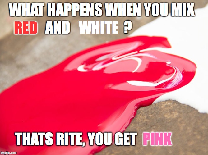 color basics | WHAT HAPPENS WHEN YOU MIX; WHITE; AND; RED; ? THATS RITE, YOU GET; PINK | image tagged in memes,colors | made w/ Imgflip meme maker