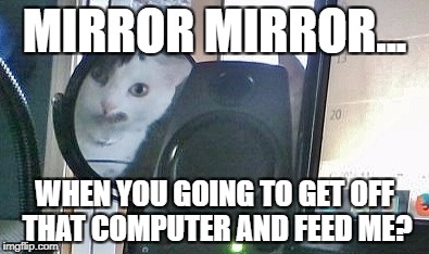 MIRROR MIRROR... WHEN YOU GOING TO GET OFF THAT COMPUTER AND FEED ME? | made w/ Imgflip meme maker