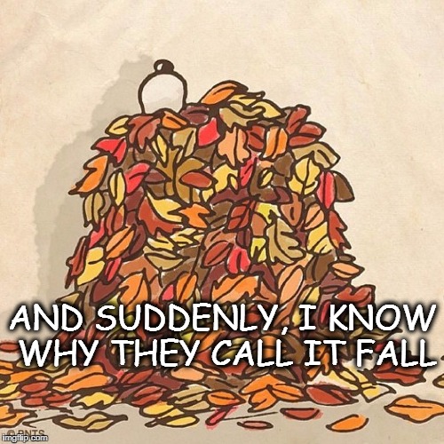 Fall Leaves | AND SUDDENLY, I KNOW WHY THEY CALL IT FALL | image tagged in snoopy,autumn,fall leaves | made w/ Imgflip meme maker