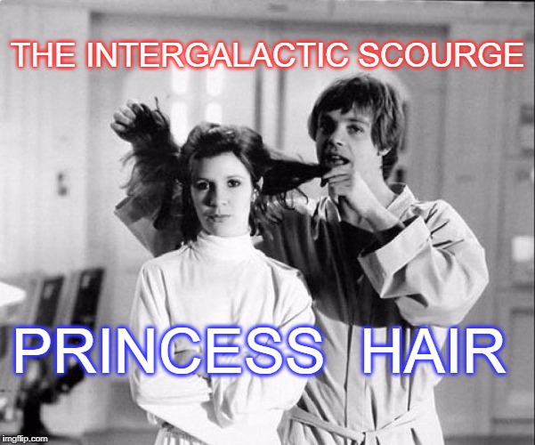 Princess Hair | THE INTERGALACTIC SCOURGE; PRINCESS  HAIR | image tagged in mark hamill,carrie fisher,star wars,bad hair day | made w/ Imgflip meme maker