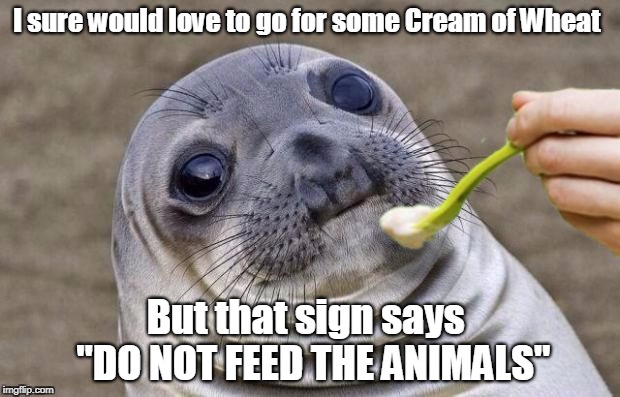 Awkward Moment Sea Lion: Cream or No Cream | I sure would love to go for some Cream of Wheat; But that sign says  "DO NOT FEED THE ANIMALS" | image tagged in awkward moment sealion | made w/ Imgflip meme maker