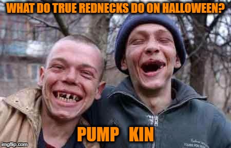 rednecks | WHAT DO TRUE REDNECKS DO ON HALLOWEEN? PUMP   KIN | image tagged in rednecks,funny,hot,funny memes,memes,halloween | made w/ Imgflip meme maker