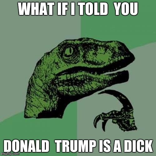 Philosoraptor | WHAT IF I TOLD  YOU; DONALD  TRUMP IS A DICK | image tagged in memes,philosoraptor | made w/ Imgflip meme maker