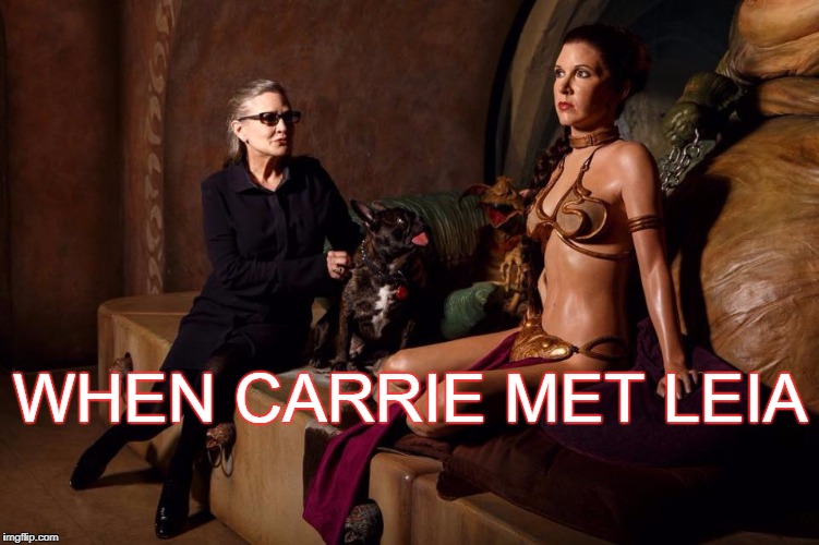 when Carrie met Leia | WHEN CARRIE MET LEIA | image tagged in carrie fisher,princess leia,return of the jedi,gary the therapy dog | made w/ Imgflip meme maker