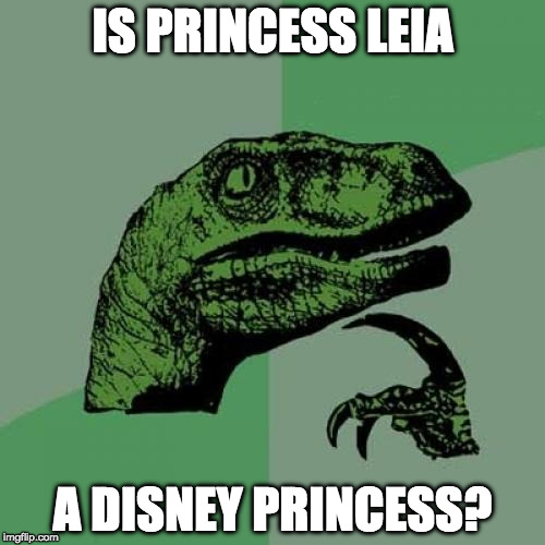 ??? | IS PRINCESS LEIA; A DISNEY PRINCESS? | image tagged in memes,philosoraptor,princess leia,disney,disney killed star wars,disney princesses | made w/ Imgflip meme maker