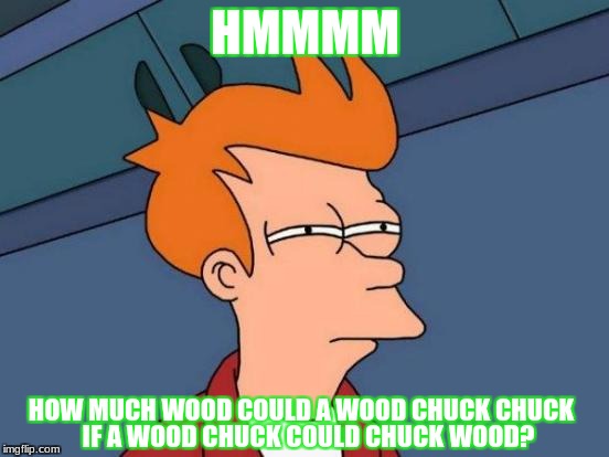 What wood? | HMMMM; HOW MUCH WOOD COULD A WOOD CHUCK CHUCK; IF A WOOD CHUCK COULD CHUCK WOOD? | image tagged in memes,futurama fry | made w/ Imgflip meme maker