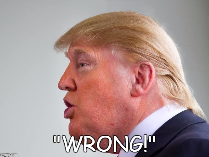 Wrong! | "WRONG!" | image tagged in wrong | made w/ Imgflip meme maker