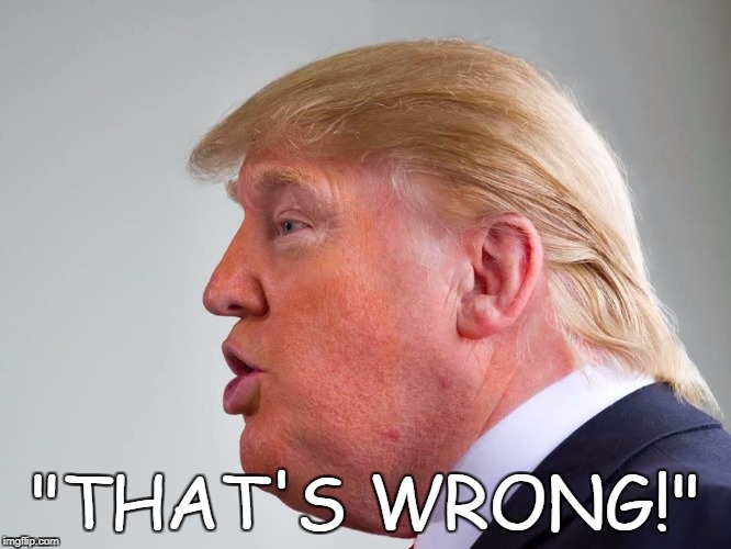 Wrong! | "THAT'S WRONG!" | image tagged in wrong | made w/ Imgflip meme maker