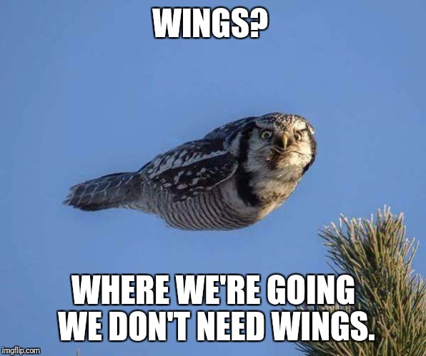 WINGS? WHERE WE'RE GOING WE DON'T NEED WINGS. | made w/ Imgflip meme maker