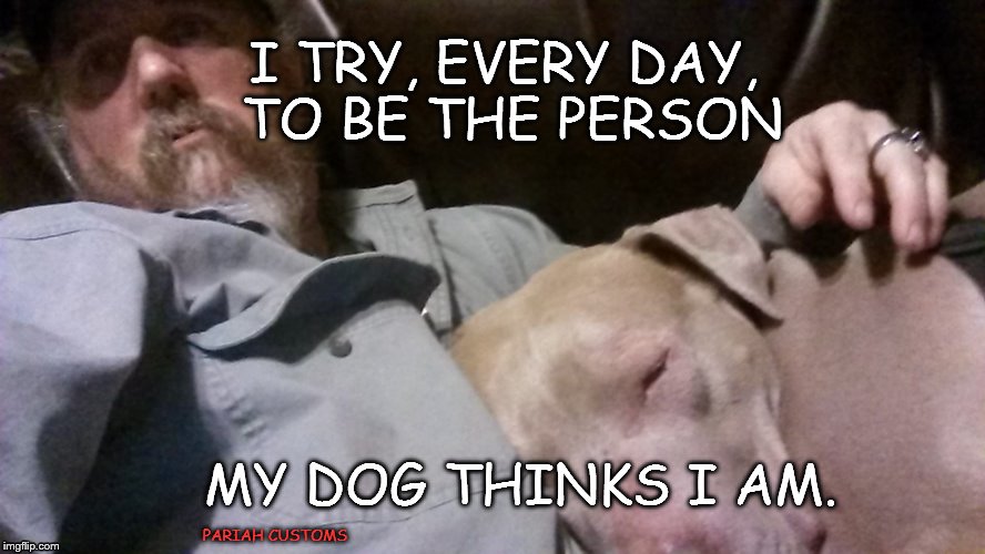 be the person | I TRY, EVERY DAY, TO BE THE PERSON; MY DOG THINKS I AM. PARIAH CUSTOMS | image tagged in dog,petey pibble,good human | made w/ Imgflip meme maker