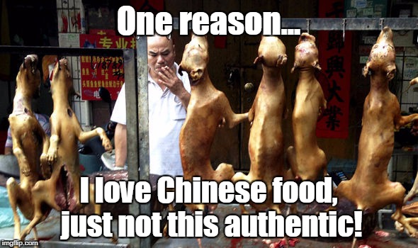 One reason... I love Chinese food, just not this authentic! | made w/ Imgflip meme maker