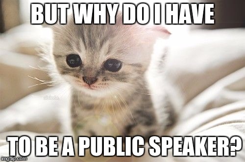 sad baby | BUT WHY DO I HAVE; TO BE A PUBLIC SPEAKER? | image tagged in sad baby | made w/ Imgflip meme maker