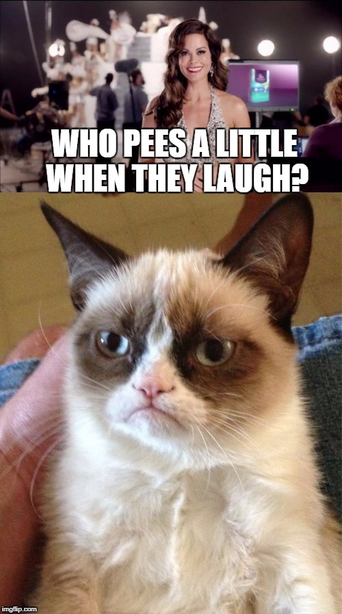 Grumpy's got no poise | WHO PEES A LITTLE WHEN THEY LAUGH? | image tagged in grump cat | made w/ Imgflip meme maker