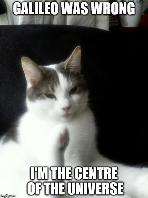 Centre of Universe Cat | GALILEO WAS WRONG; I'M THE CENTRE OF THE UNIVERSE | image tagged in cats | made w/ Imgflip meme maker