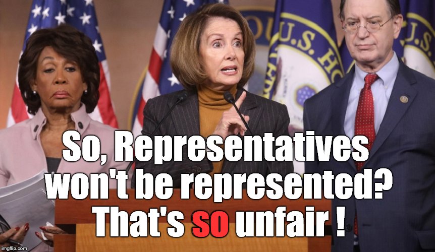 pelosi explains | So, Representatives won't be represented? That's so unfair ! so | image tagged in pelosi explains | made w/ Imgflip meme maker