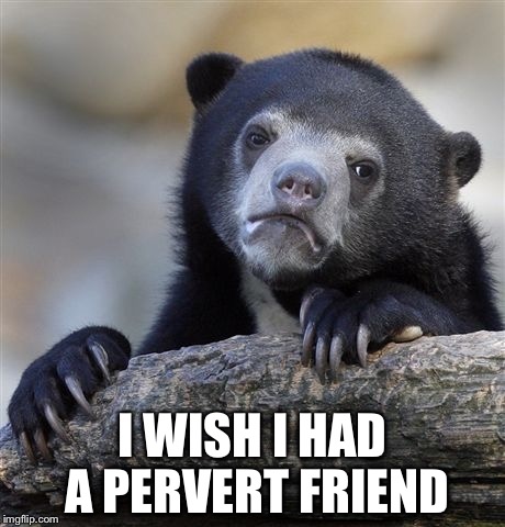 Confession Bear Meme | I WISH I HAD A PERVERT FRIEND | image tagged in memes,confession bear | made w/ Imgflip meme maker