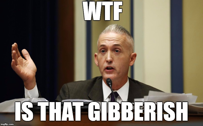 WTF; IS THAT GIBBERISH | image tagged in trey gowdy,wtf | made w/ Imgflip meme maker