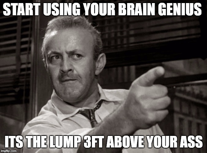 START USING YOUR BRAIN GENIUS; ITS THE LUMP 3FT ABOVE YOUR ASS | image tagged in think,stupid | made w/ Imgflip meme maker
