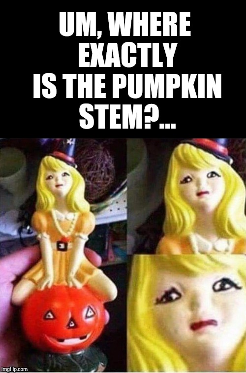 That's one naughty Jack-o-lantern...  | UM, WHERE EXACTLY IS THE PUMPKIN STEM?... | image tagged in halloween,jack-o-lanterns,happy halloween,jbmemegeek | made w/ Imgflip meme maker