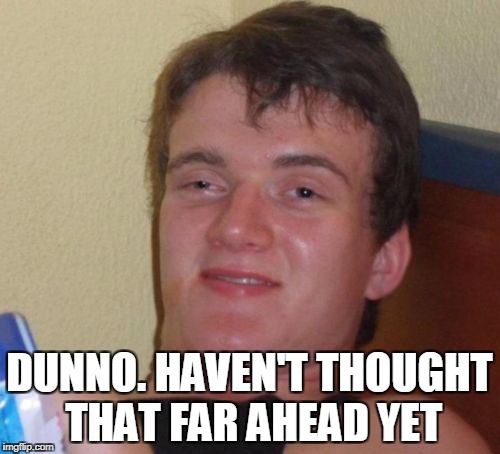 10 Guy Meme | DUNNO. HAVEN'T THOUGHT THAT FAR AHEAD YET | image tagged in memes,10 guy | made w/ Imgflip meme maker