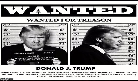 Here Come the Judge | image tagged in trump,treason | made w/ Imgflip meme maker