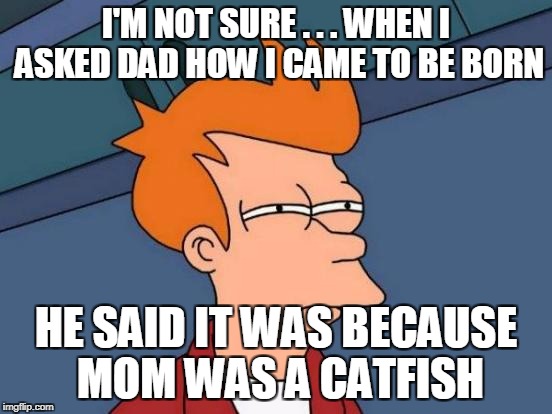 Futurama Fry Meme | I'M NOT SURE . . . WHEN I ASKED DAD HOW I CAME TO BE BORN HE SAID IT WAS BECAUSE MOM WAS A CATFISH | image tagged in memes,futurama fry | made w/ Imgflip meme maker