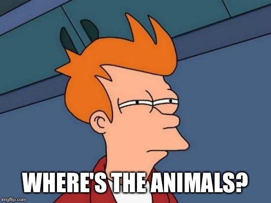Futurama Fry Meme | WHERE'S THE ANIMALS? | image tagged in memes,futurama fry | made w/ Imgflip meme maker