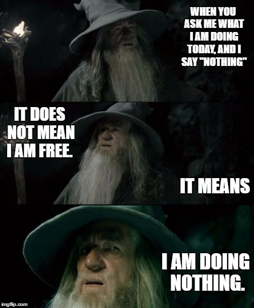 Confused Gandalf Meme | WHEN YOU ASK ME WHAT I AM DOING TODAY, AND I SAY "NOTHING"; IT DOES NOT MEAN I AM FREE. IT MEANS; I AM DOING NOTHING. | image tagged in memes,confused gandalf | made w/ Imgflip meme maker