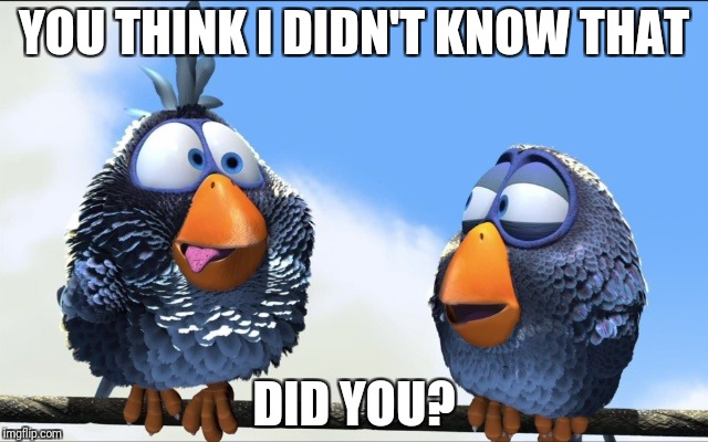 Blue Birds | YOU THINK I DIDN'T KNOW THAT DID YOU? | image tagged in blue birds | made w/ Imgflip meme maker