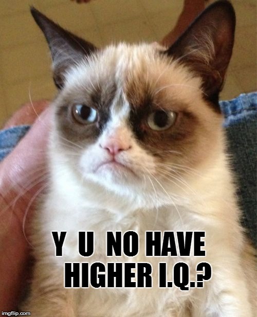 Grumpy Cat Meme | Y  U  NO HAVE   HIGHER I.Q.? | image tagged in memes,grumpy cat | made w/ Imgflip meme maker