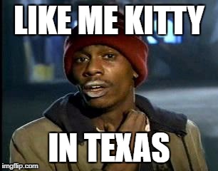 Y'all Got Any More Of That Meme | LIKE ME KITTY IN TEXAS | image tagged in memes,yall got any more of | made w/ Imgflip meme maker