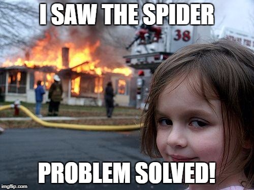 Disaster Girl Meme | I SAW THE SPIDER PROBLEM SOLVED! | image tagged in memes,disaster girl | made w/ Imgflip meme maker