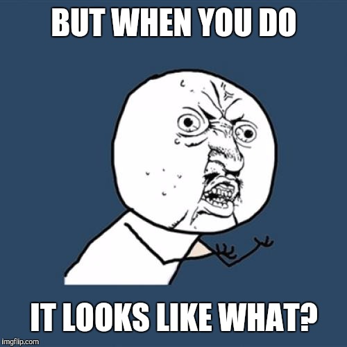 Y U No Meme | BUT WHEN YOU DO IT LOOKS LIKE WHAT? | image tagged in memes,y u no | made w/ Imgflip meme maker