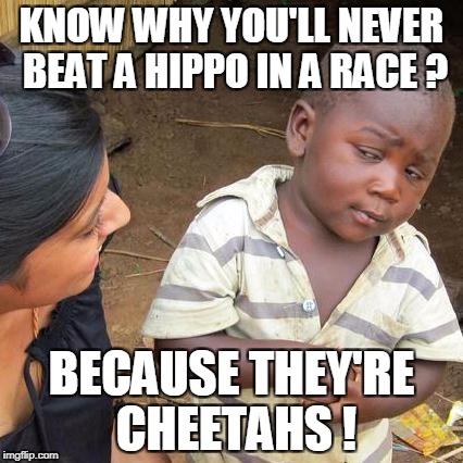 Third World Skeptical Kid Meme | KNOW WHY YOU'LL NEVER BEAT A HIPPO IN A RACE ? BECAUSE THEY'RE CHEETAHS ! | image tagged in memes,third world skeptical kid | made w/ Imgflip meme maker