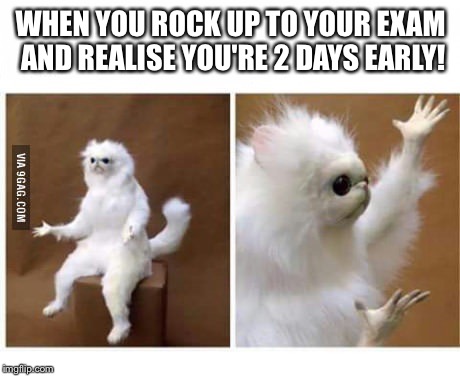 strange wtf cat | WHEN YOU ROCK UP TO YOUR EXAM AND REALISE YOU'RE 2 DAYS EARLY! | image tagged in strange wtf cat | made w/ Imgflip meme maker