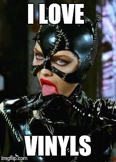I Love Vinyls | I LOVE; VINYLS | image tagged in vinyl records,catwoman | made w/ Imgflip meme maker