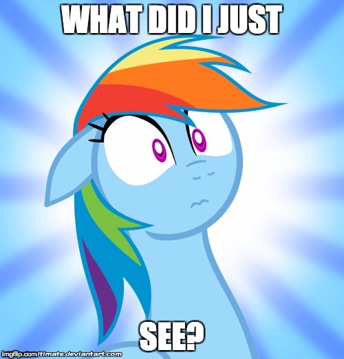 Shocked Rainbow Dash | WHAT DID I JUST SEE? | image tagged in shocked rainbow dash | made w/ Imgflip meme maker