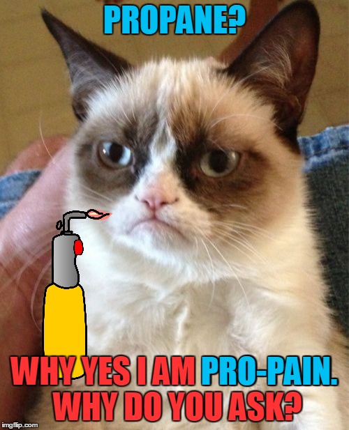 Mind=blown. | PROPANE? WHY YES I AM PRO-PAIN. WHY DO YOU ASK? PRO-PAIN. | image tagged in memes,grumpy cat,maim,grumpy cat with weapons,propane,blowtorch | made w/ Imgflip meme maker